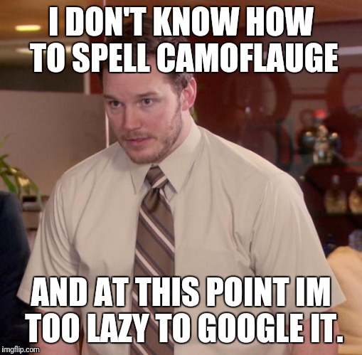 Afraid To Ask Andy Meme | I DON'T KNOW HOW TO SPELL CAMOFLAUGE; AND AT THIS POINT IM TOO LAZY TO GOOGLE IT. | image tagged in memes,afraid to ask andy | made w/ Imgflip meme maker