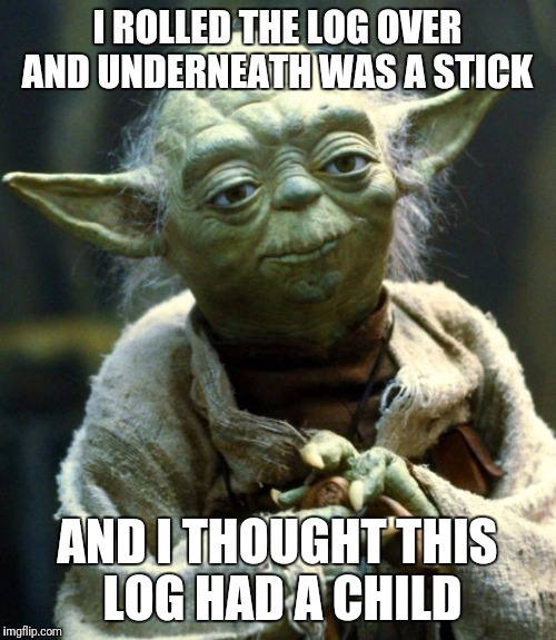 Star Wars Yoda | I ROLLED THE LOG OVER AND UNDERNEATH WAS A STICK; AND I THOUGHT THIS LOG HAD A CHILD | image tagged in memes,star wars yoda | made w/ Imgflip meme maker