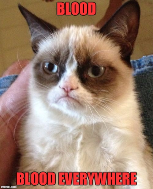 Grumpy Cat Meme | BLOOD BLOOD EVERYWHERE | image tagged in memes,grumpy cat | made w/ Imgflip meme maker