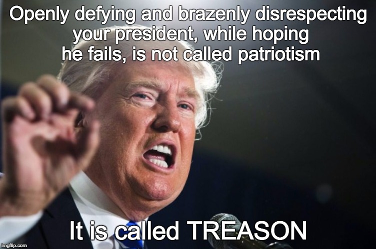donald trump | Openly defying and brazenly disrespecting your president, while hoping he fails, is not called patriotism; It is called TREASON | image tagged in donald trump | made w/ Imgflip meme maker
