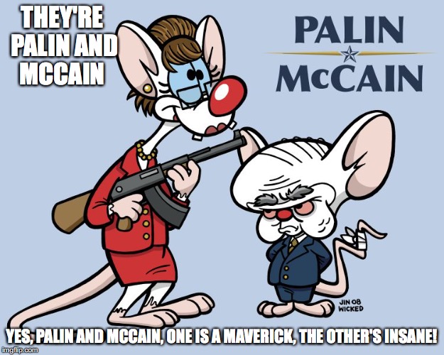 Palin and McCain | THEY'RE PALIN AND MCCAIN; YES, PALIN AND MCCAIN, ONE IS A MAVERICK, THE OTHER'S INSANE! | image tagged in sarah palin,john mccain,pinky and the brain,memes | made w/ Imgflip meme maker