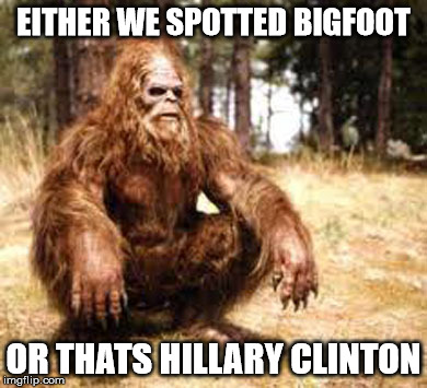 bigfoot | EITHER WE SPOTTED BIGFOOT; OR THATS HILLARY CLINTON | image tagged in bigfoot | made w/ Imgflip meme maker