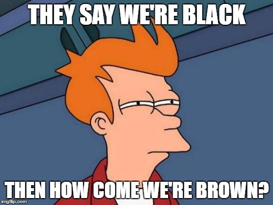 Futurama Fry Meme | THEY SAY WE'RE BLACK; THEN HOW COME WE'RE BROWN? | image tagged in memes,futurama fry | made w/ Imgflip meme maker