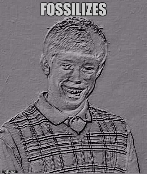 Bad Luck Brian Carbonite | FOSSILIZES | image tagged in bad luck brian carbonite | made w/ Imgflip meme maker