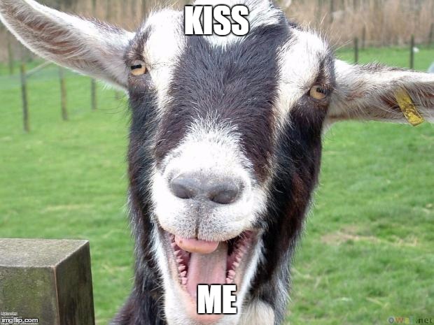 Funny Goat | KISS; ME | image tagged in funny goat | made w/ Imgflip meme maker