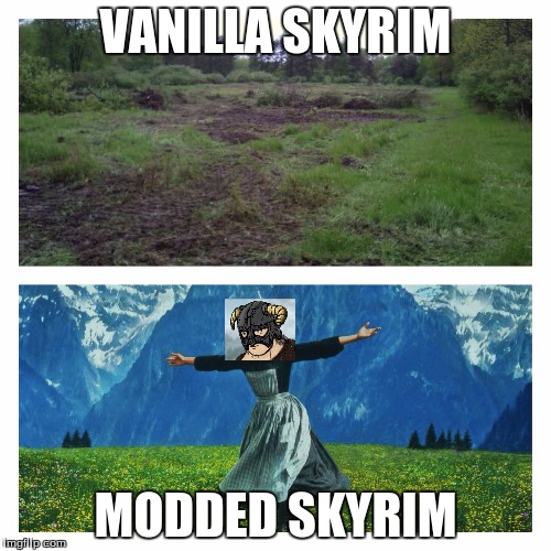 Skyrim:Before and After | VANILLA SKYRIM; MODDED SKYRIM | image tagged in skyrim | made w/ Imgflip meme maker