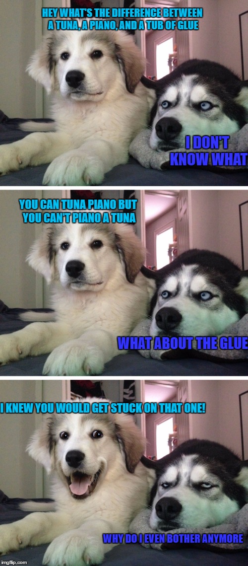 Bad pun dogs | HEY WHAT'S THE DIFFERENCE BETWEEN A TUNA, A PIANO, AND A TUB OF GLUE; I DON'T KNOW WHAT; YOU CAN TUNA PIANO BUT YOU CAN'T PIANO A TUNA; WHAT ABOUT THE GLUE; I KNEW YOU WOULD GET STUCK ON THAT ONE! WHY DO I EVEN BOTHER ANYMORE | image tagged in bad pun dogs | made w/ Imgflip meme maker