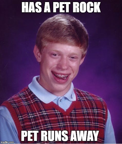 Bad Luck Brian | HAS A PET ROCK; PET RUNS AWAY | image tagged in memes,bad luck brian | made w/ Imgflip meme maker