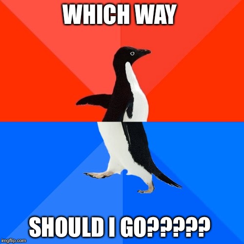 Socially Awesome Awkward Penguin Meme | WHICH WAY; SHOULD I GO????? | image tagged in memes,socially awesome awkward penguin | made w/ Imgflip meme maker