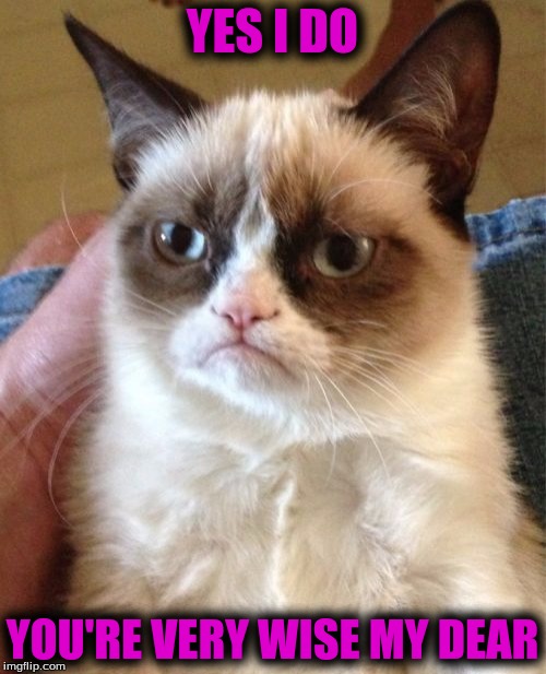 Grumpy Cat Meme | YES I DO YOU'RE VERY WISE MY DEAR | image tagged in memes,grumpy cat | made w/ Imgflip meme maker