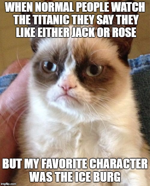 Grumpy Cat | WHEN NORMAL PEOPLE WATCH THE TITANIC THEY SAY THEY LIKE EITHER JACK OR ROSE; BUT MY FAVORITE CHARACTER WAS THE ICE BURG | image tagged in memes,grumpy cat | made w/ Imgflip meme maker