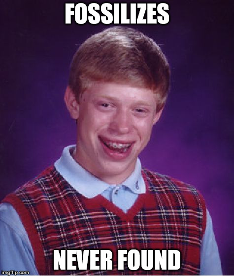 Bad Luck Brian Meme | FOSSILIZES NEVER FOUND | image tagged in memes,bad luck brian | made w/ Imgflip meme maker