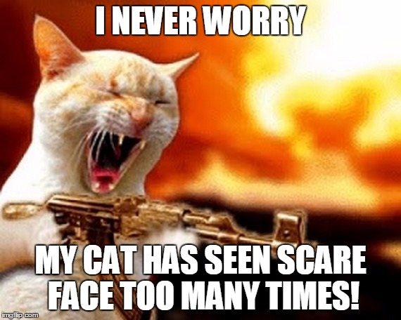 machine gun cat | I NEVER WORRY; MY CAT HAS SEEN SCARE FACE TOO MANY TIMES! | image tagged in machine gun cat | made w/ Imgflip meme maker