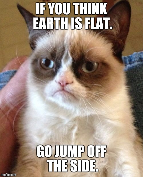 I'm serious. | IF YOU THINK EARTH IS FLAT. GO JUMP OFF THE SIDE. | image tagged in memes,grumpy cat | made w/ Imgflip meme maker