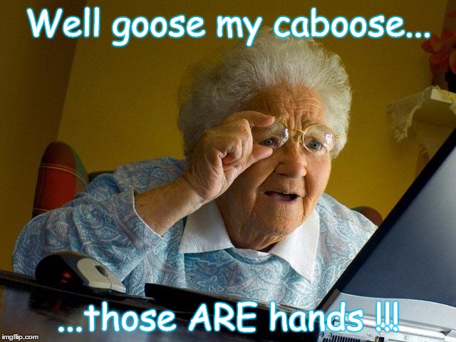Goose Caboose | Well goose my caboose... ...those ARE hands !!! | image tagged in memes,grandma finds the internet,donald trump,small hands,trump hands | made w/ Imgflip meme maker