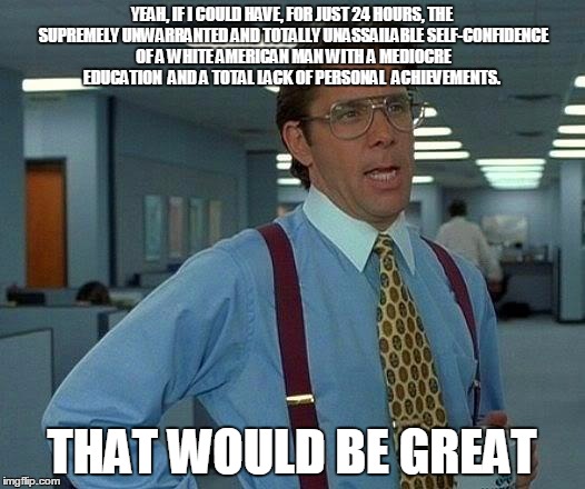 That Would Be Great | YEAH, IF I COULD HAVE, FOR JUST 24 HOURS, THE SUPREMELY UNWARRANTED AND TOTALLY UNASSAILABLE SELF-CONFIDENCE OF A WHITE AMERICAN MAN WITH A MEDIOCRE EDUCATION  AND A TOTAL LACK OF PERSONAL  ACHIEVEMENTS. THAT WOULD BE GREAT | image tagged in memes,that would be great | made w/ Imgflip meme maker