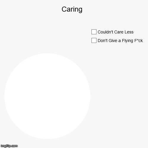 Caring | image tagged in funny,pie charts,caring | made w/ Imgflip chart maker