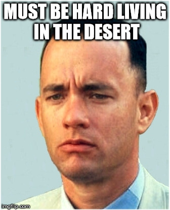 forrest gump | MUST BE HARD LIVING IN THE DESERT | image tagged in forrest gump | made w/ Imgflip meme maker