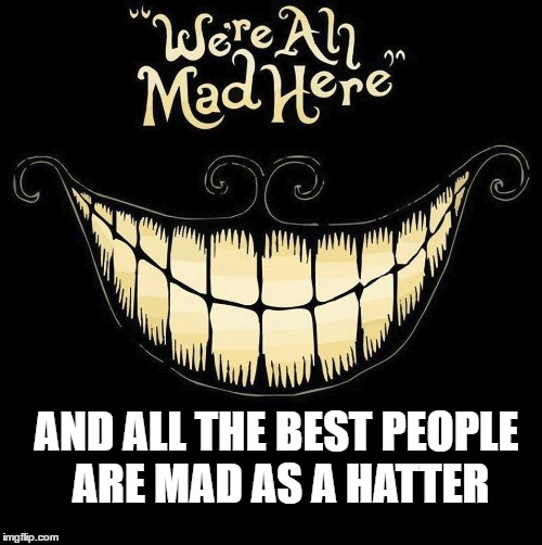 AND ALL THE BEST PEOPLE ARE MAD AS A HATTER | image tagged in alice in wonderland,mad hatter | made w/ Imgflip meme maker