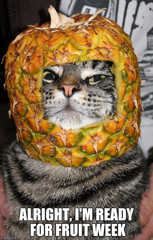 Ready for Fruit week
(Fruit week - A 123Guy Event May8-14) | ALRIGHT, I'M READY FOR FRUIT WEEK | image tagged in fruit week,grumpy cat,funny memes | made w/ Imgflip meme maker