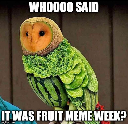 123 Guy, that's who. | WHOOOO SAID; IT WAS FRUIT MEME WEEK? | image tagged in memes,fruit week,birds | made w/ Imgflip meme maker