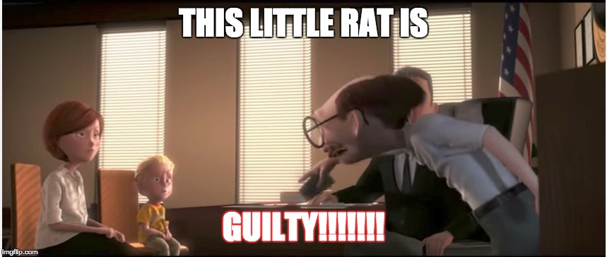 GUILTYYYYYY!!!!! |  THIS LITTLE RAT IS; GUILTY!!!!!!! | image tagged in this little rat is guilty,guilty | made w/ Imgflip meme maker