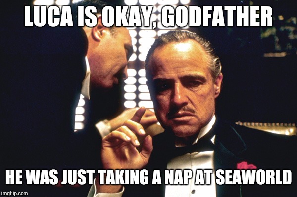 False alarm! | LUCA IS OKAY, GODFATHER; HE WAS JUST TAKING A NAP AT SEAWORLD | image tagged in the godfather,funny meme | made w/ Imgflip meme maker