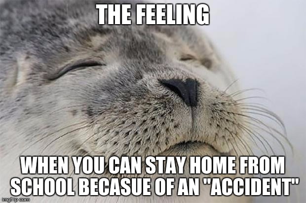 Satisfied Seal Meme | THE FEELING; WHEN YOU CAN STAY HOME FROM SCHOOL BECASUE OF AN "ACCIDENT" | image tagged in memes,satisfied seal | made w/ Imgflip meme maker