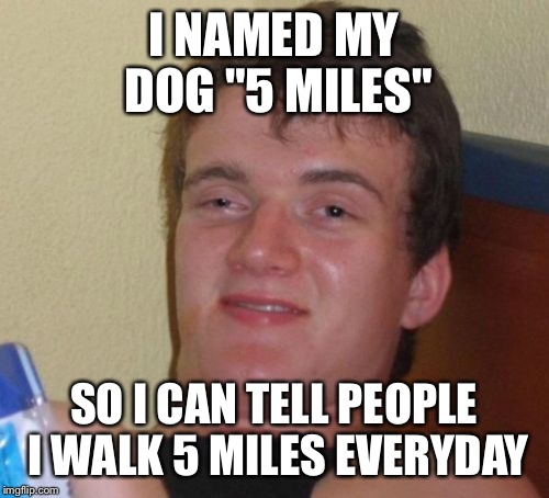 10 Guy Meme | I NAMED MY DOG "5 MILES"; SO I CAN TELL PEOPLE I WALK 5 MILES EVERYDAY | image tagged in memes,10 guy | made w/ Imgflip meme maker
