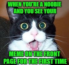 Inspired by Socrates, Thanks for reminding me Buddy!!! |  WHEN YOU'RE A NOOBIE AND YOU SEE YOUR; MEME ON THE FRONT PAGE FOR THE FIRST TIME | image tagged in surprised cat,memes,front page,noobie,funny,cats | made w/ Imgflip meme maker
