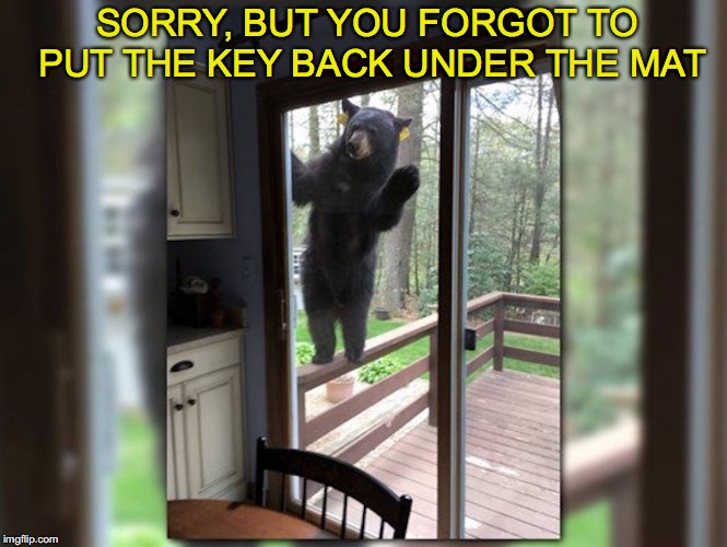 Will do anything for a brownie | SORRY, BUT YOU FORGOT TO PUT THE KEY BACK UNDER THE MAT | image tagged in black bears | made w/ Imgflip meme maker