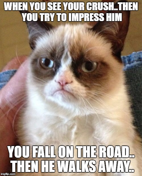 Grumpy Cat | WHEN YOU SEE YOUR CRUSH..THEN YOU TRY TO IMPRESS HIM; YOU FALL ON THE ROAD.. THEN HE WALKS AWAY.. | image tagged in memes,grumpy cat | made w/ Imgflip meme maker