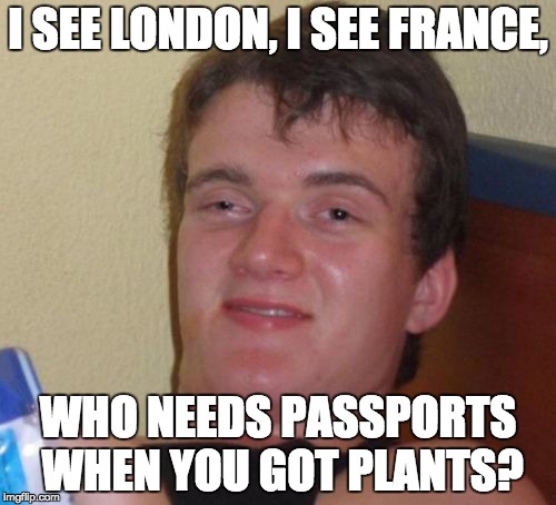 10 Guy Meme | I SEE LONDON, I SEE FRANCE, WHO NEEDS PASSPORTS WHEN YOU GOT PLANTS? | image tagged in memes,10 guy | made w/ Imgflip meme maker