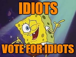 IDIOTS VOTE FOR IDIOTS | made w/ Imgflip meme maker