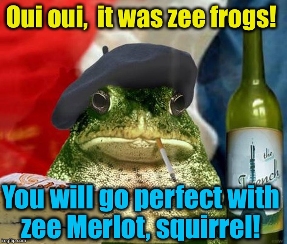 Oui oui,  it was zee frogs! You will go perfect with zee Merlot, squirrel! | made w/ Imgflip meme maker