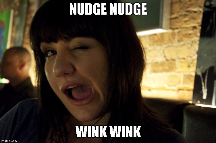 Wink | NUDGE NUDGE WINK WINK | image tagged in wink | made w/ Imgflip meme maker