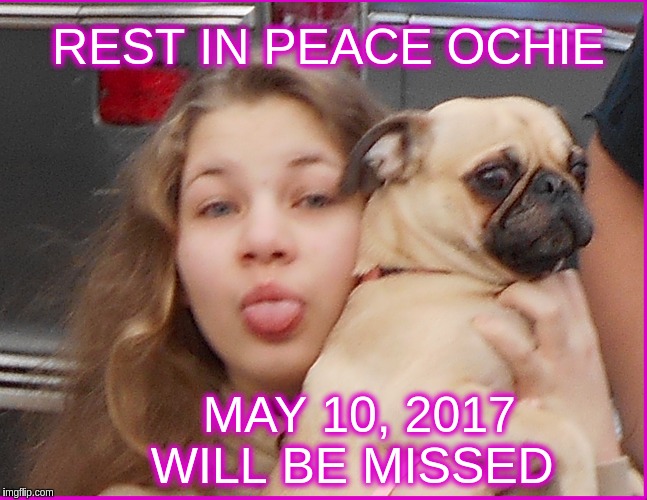 Gone but not forgotten | REST IN PEACE OCHIE; MAY 10, 2017      WILL BE MISSED | image tagged in memes | made w/ Imgflip meme maker