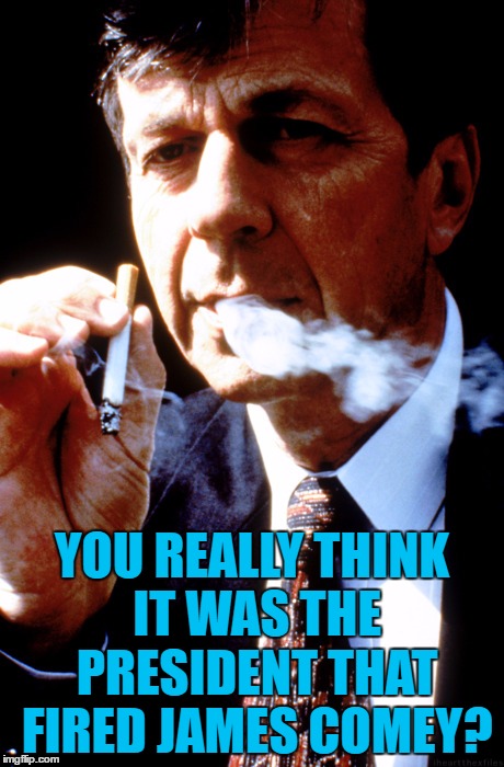 The Truth Is Out There :) |  YOU REALLY THINK IT WAS THE PRESIDENT THAT FIRED JAMES COMEY? | image tagged in x files cancer man,memes,james comey,fbi director james comey,trump,fbi | made w/ Imgflip meme maker