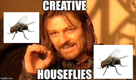 One Does Not Simply | CREATIVE; HOUSEFLIES | image tagged in memes,one does not simply | made w/ Imgflip meme maker