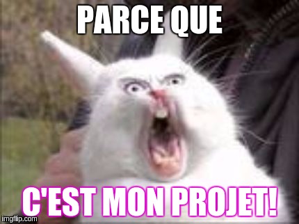 Hungry Rabbit | PARCE QUE; C'EST MON PROJET! | image tagged in hungry rabbit | made w/ Imgflip meme maker