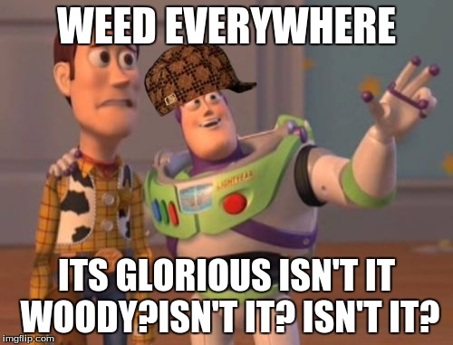 X, X Everywhere | WEED EVERYWHERE; ITS GLORIOUS ISN'T IT WOODY?ISN'T IT? ISN'T IT? | image tagged in memes,x x everywhere,scumbag | made w/ Imgflip meme maker