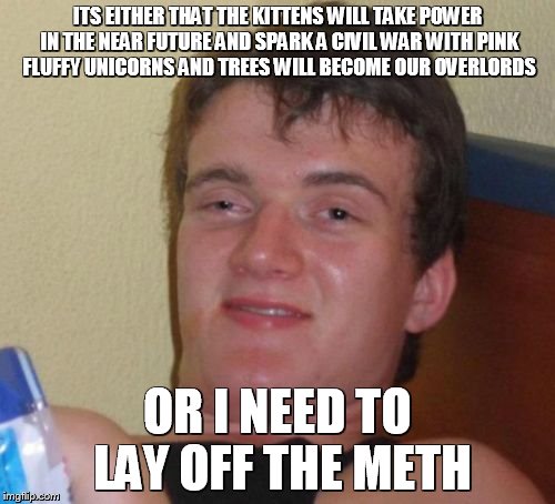 10 Guy Meme | ITS EITHER THAT THE KITTENS WILL TAKE POWER IN THE NEAR FUTURE AND SPARK A CIVIL WAR WITH PINK FLUFFY UNICORNS AND TREES WILL BECOME OUR OVERLORDS; OR I NEED TO LAY OFF THE METH | image tagged in memes,10 guy | made w/ Imgflip meme maker