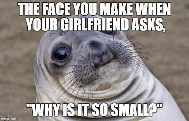 Awkward Moment Sealion | THE FACE YOU MAKE WHEN YOUR GIRLFRIEND ASKS, "WHY IS IT SO SMALL?" | image tagged in memes,awkward moment sealion | made w/ Imgflip meme maker