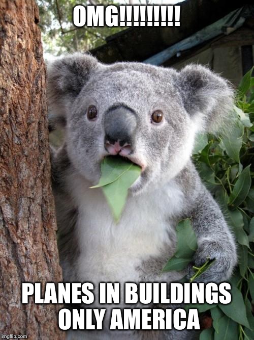 Surprised Koala Meme | OMG!!!!!!!!! PLANES IN BUILDINGS ONLY AMERICA | image tagged in memes,surprised koala | made w/ Imgflip meme maker