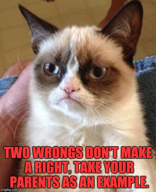 You Need A Restraining Order  | TWO WRONGS DON'T MAKE A RIGHT, TAKE YOUR PARENTS AS AN EXAMPLE. | image tagged in memes,grumpy cat | made w/ Imgflip meme maker
