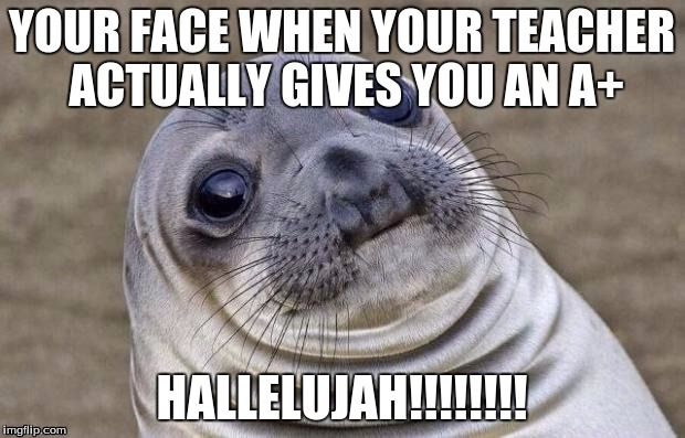 Awkward Moment Sealion Meme | YOUR FACE WHEN YOUR TEACHER ACTUALLY GIVES YOU AN A+; HALLELUJAH!!!!!!!! | image tagged in memes,awkward moment sealion | made w/ Imgflip meme maker
