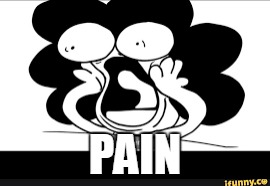 SR.pelo | PAIN | image tagged in pain,srpelo | made w/ Imgflip meme maker