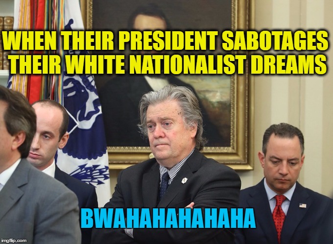 Trump Dashes Nationalist's Hopes | WHEN THEIR PRESIDENT SABOTAGES THEIR WHITE NATIONALIST DREAMS; BWAHAHAHAHAHA | image tagged in trump,kkk,white nationalism | made w/ Imgflip meme maker