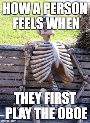 Waiting Skeleton | HOW A PERSON FEELS WHEN; THEY FIRST PLAY THE OBOE | image tagged in memes,waiting skeleton | made w/ Imgflip meme maker