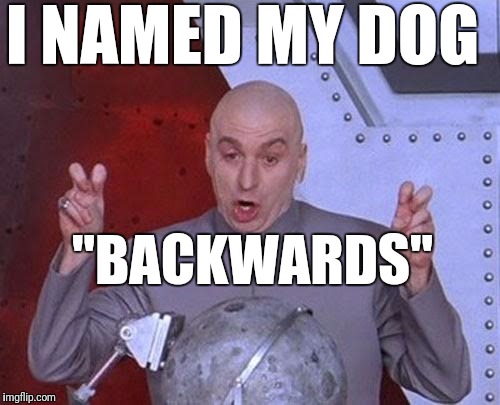 Dr Evil Laser Meme | I NAMED MY DOG "BACKWARDS" | image tagged in memes,dr evil laser | made w/ Imgflip meme maker